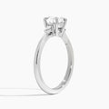 Round Dulcie Three Stone Lab Grown Diamond Engagement Ring In Platinum, Angle View