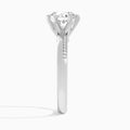 Round Adorned Six-Prong Lab Diamond Engagement Ring In Platinum, Side View