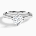 Round Petal Aurora Four-Prong Lab Diamond Engagement Ring In Platinum - Lucenjuri