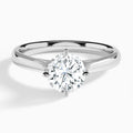 Round Hidden Halo Lab Grown Diamond Engagement Ring In Platinum - Lucenjuri