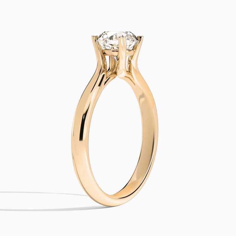 Round Elodie Lab Grown Diamond Engagement Ring In 14K Rose Gold, Angle View