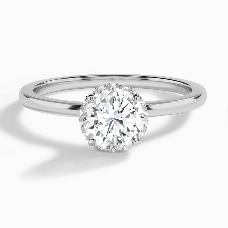 Round Double Hidden Halo Lab Grown Diamond Engagement Ring In Platinum - Lucenjuri